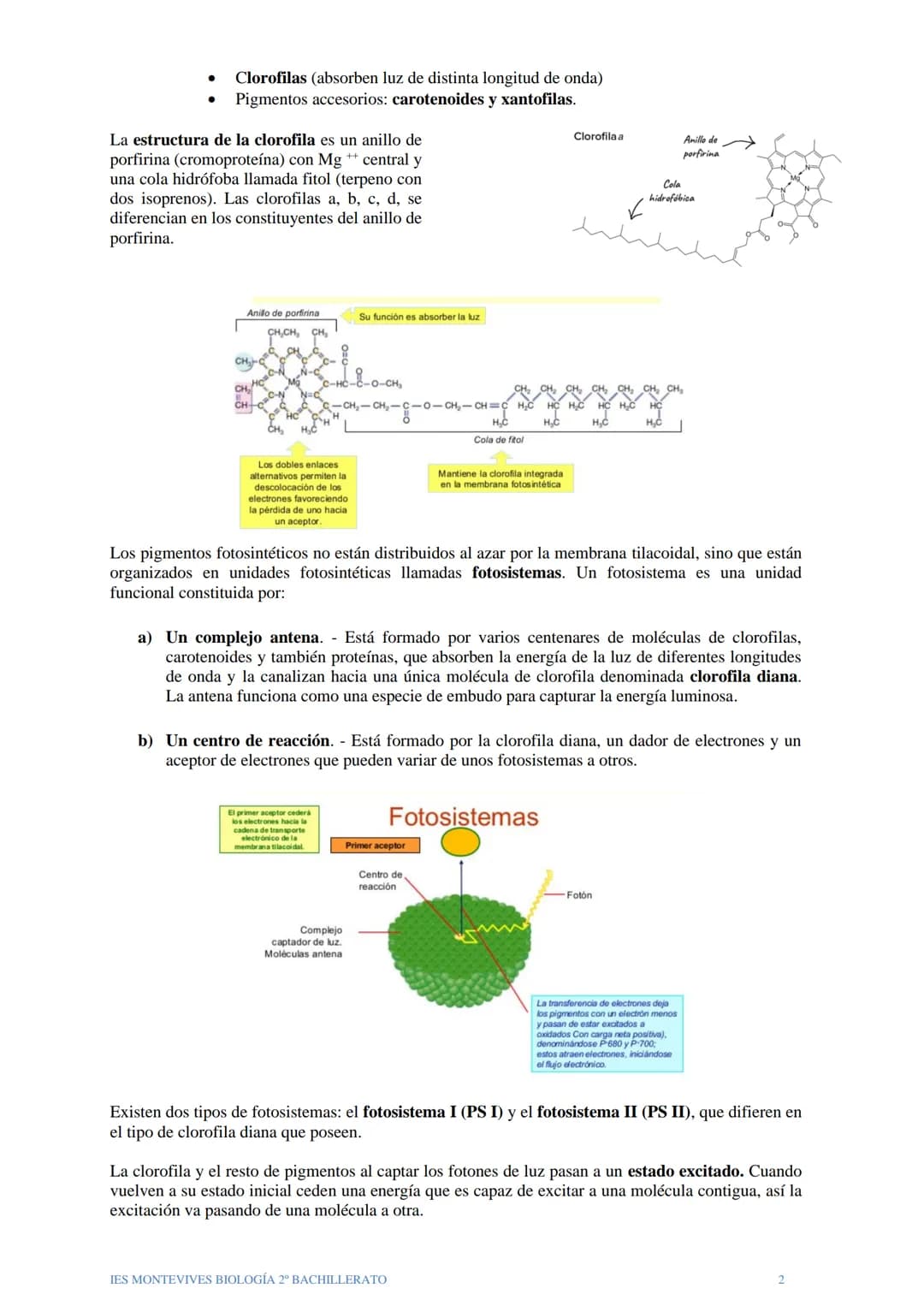 TEMA 12 EL ANABOLISMO
El anabolismo es la fase del metabolismo en la que a partir de unos pocos precursores
sencillos y relativamente oxidad