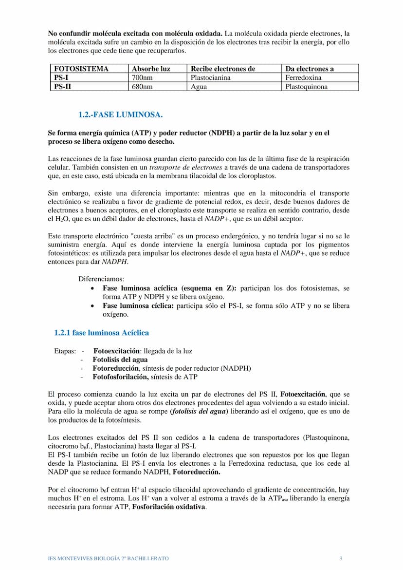 TEMA 12 EL ANABOLISMO
El anabolismo es la fase del metabolismo en la que a partir de unos pocos precursores
sencillos y relativamente oxidad