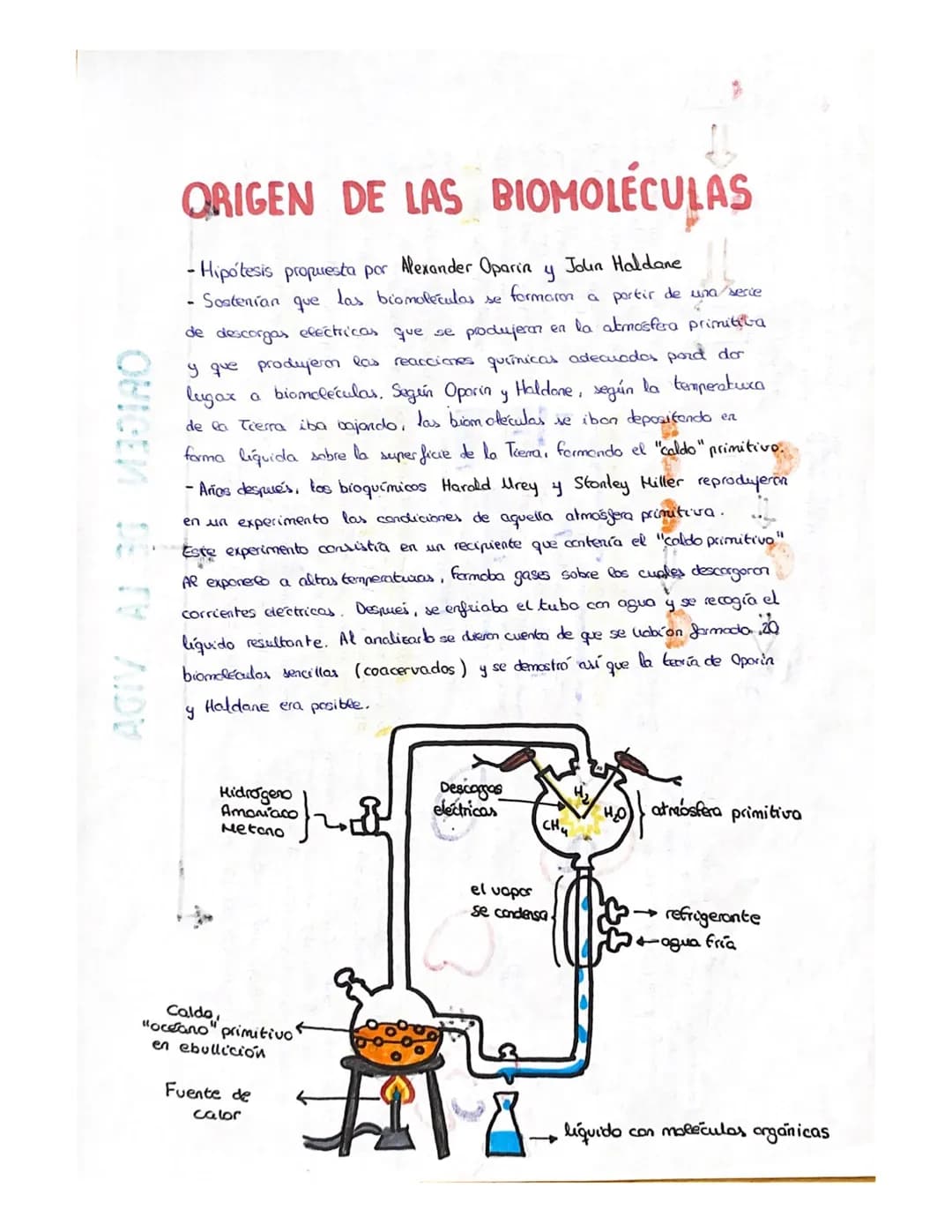 
<p>Un ser vivo debe llevar a cabo las 3 funciones vitales: nutrición, relación y reproducción. Los organismos están compuestos por células,