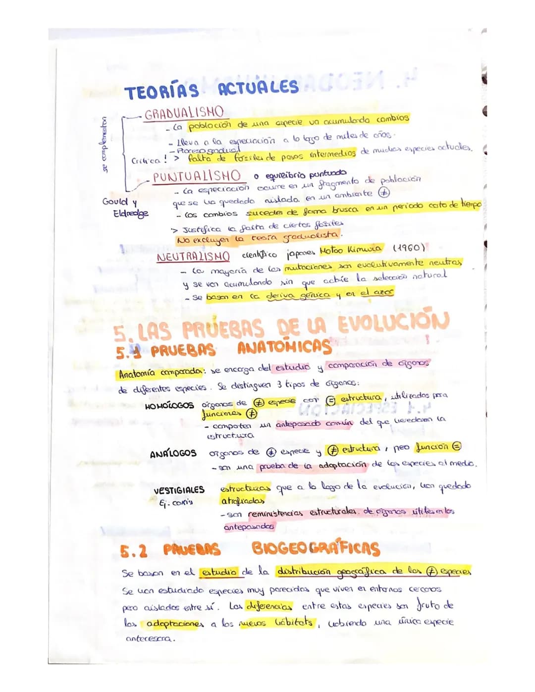 
<p>Un ser vivo debe llevar a cabo las 3 funciones vitales: nutrición, relación y reproducción. Los organismos están compuestos por células,