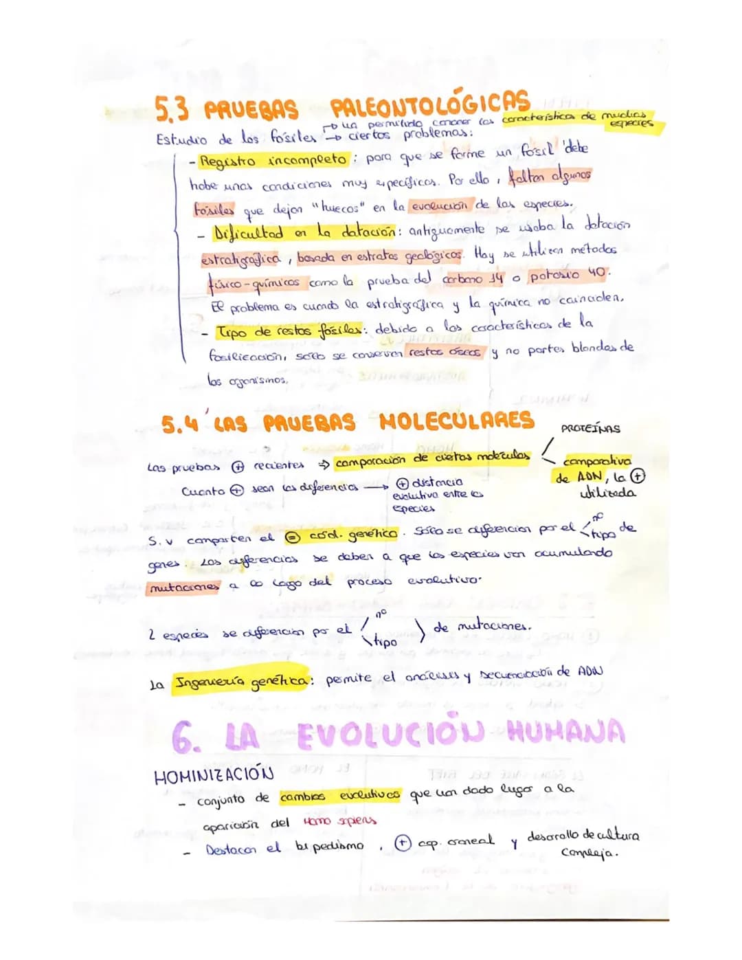 
<p>Un ser vivo debe llevar a cabo las 3 funciones vitales: nutrición, relación y reproducción. Los organismos están compuestos por células,