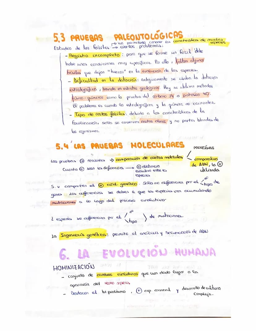 
<p>Un ser vivo debe llevar a cabo las 3 funciones vitales: nutrición, relación y reproducción. Los organismos están compuestos por células,