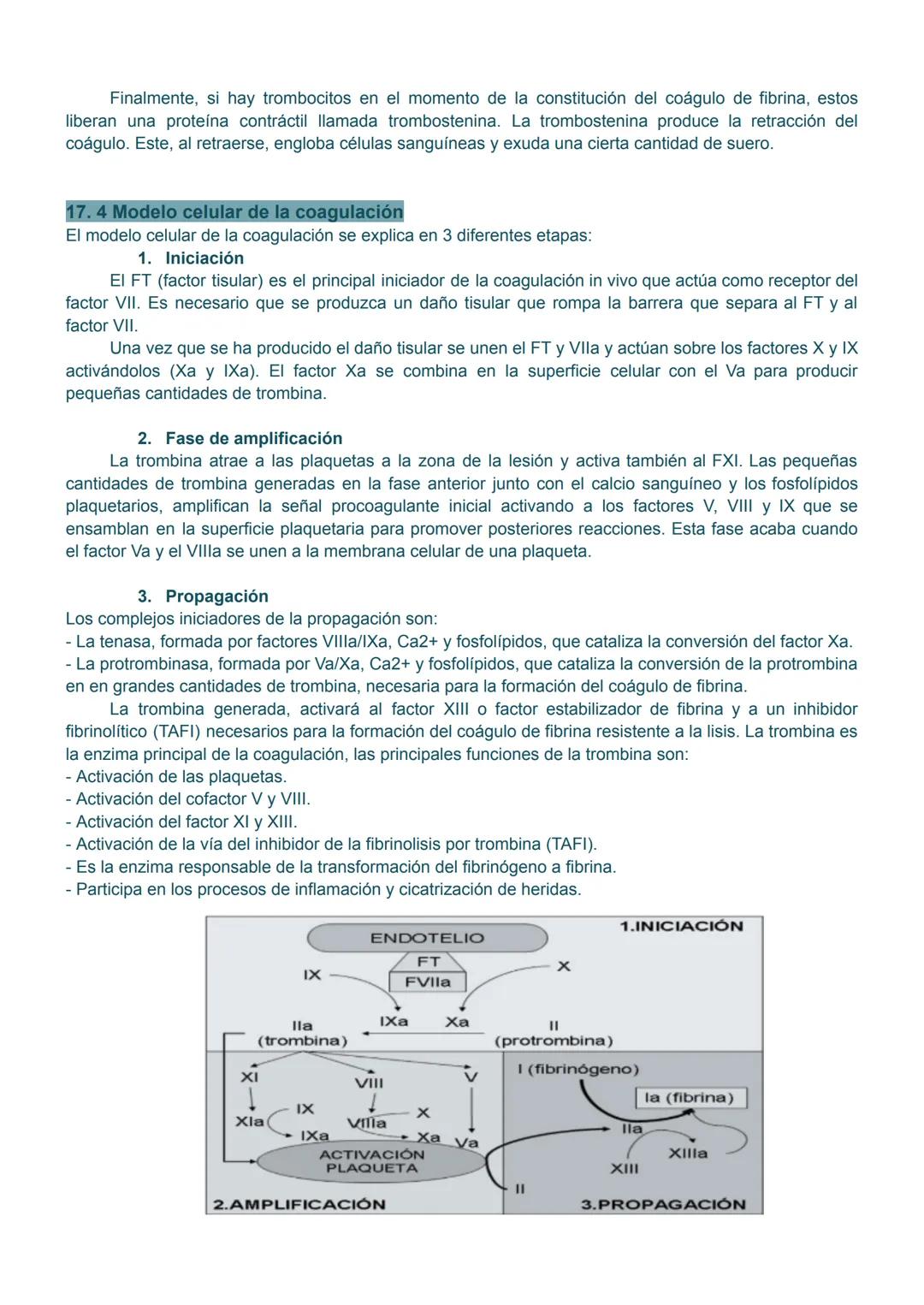 # 17.1 Hemostasia
La hemostasia consiste en un conjunto de mecanismos que el organismo pone en marcha para cohibir
las hemorragias o, lo que