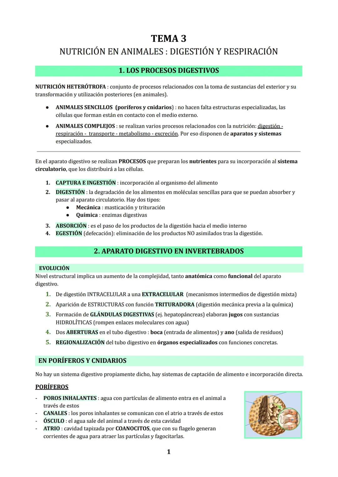 TEMA 3
NUTRICIÓN EN ANIMALES : DIGESTIÓN Y RESPIRACIÓN
1. LOS PROCESOS DIGESTIVOS
NUTRICIÓN HETEROTROFA: conjunto de procesos relacionados c