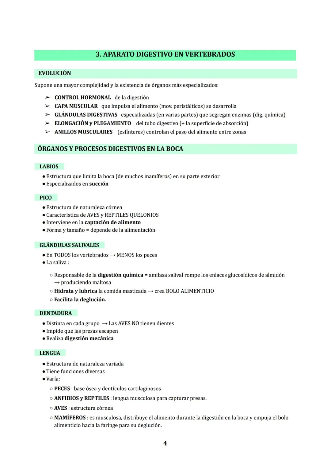 TEMA 3
NUTRICIÓN EN ANIMALES : DIGESTIÓN Y RESPIRACIÓN
1. LOS PROCESOS DIGESTIVOS
NUTRICIÓN HETEROTROFA: conjunto de procesos relacionados c