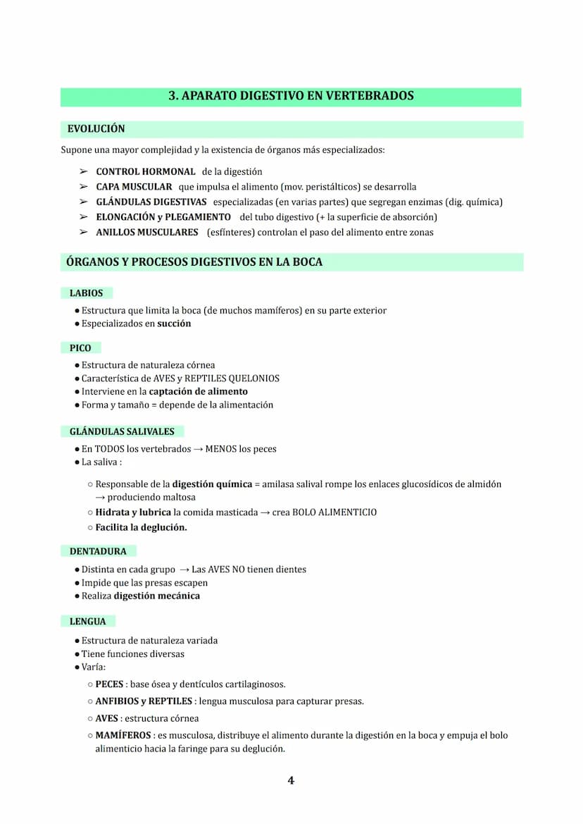 TEMA 3
NUTRICIÓN EN ANIMALES : DIGESTIÓN Y RESPIRACIÓN
1. LOS PROCESOS DIGESTIVOS
NUTRICIÓN HETEROTROFA: conjunto de procesos relacionados c