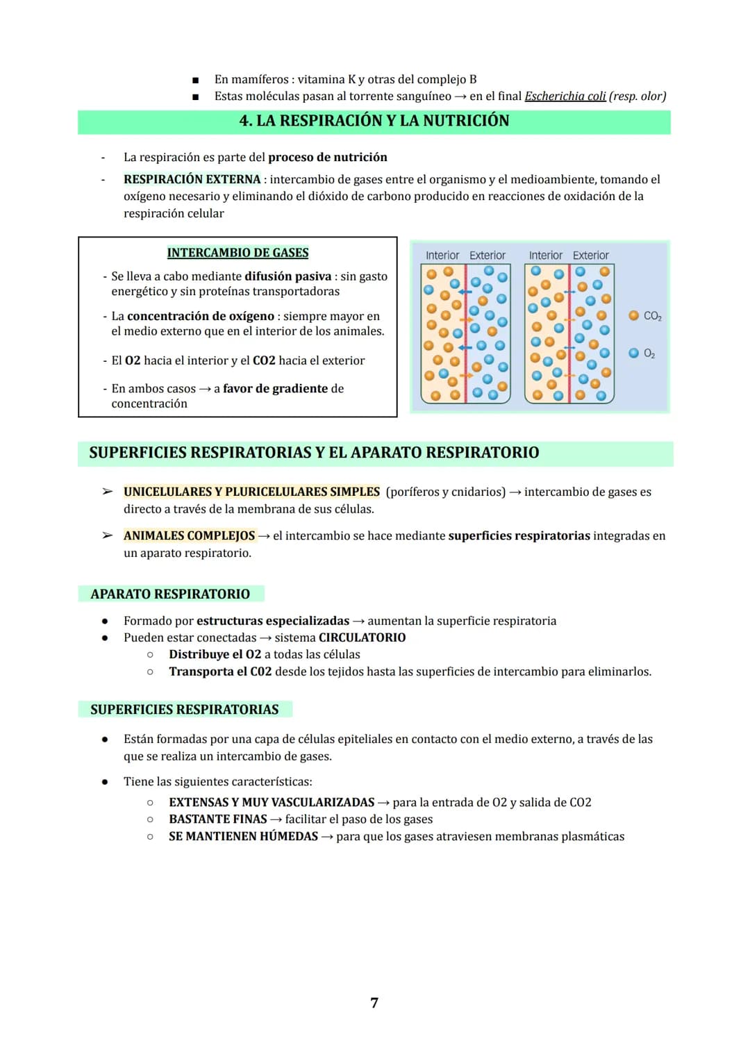 TEMA 3
NUTRICIÓN EN ANIMALES : DIGESTIÓN Y RESPIRACIÓN
1. LOS PROCESOS DIGESTIVOS
NUTRICIÓN HETEROTROFA: conjunto de procesos relacionados c