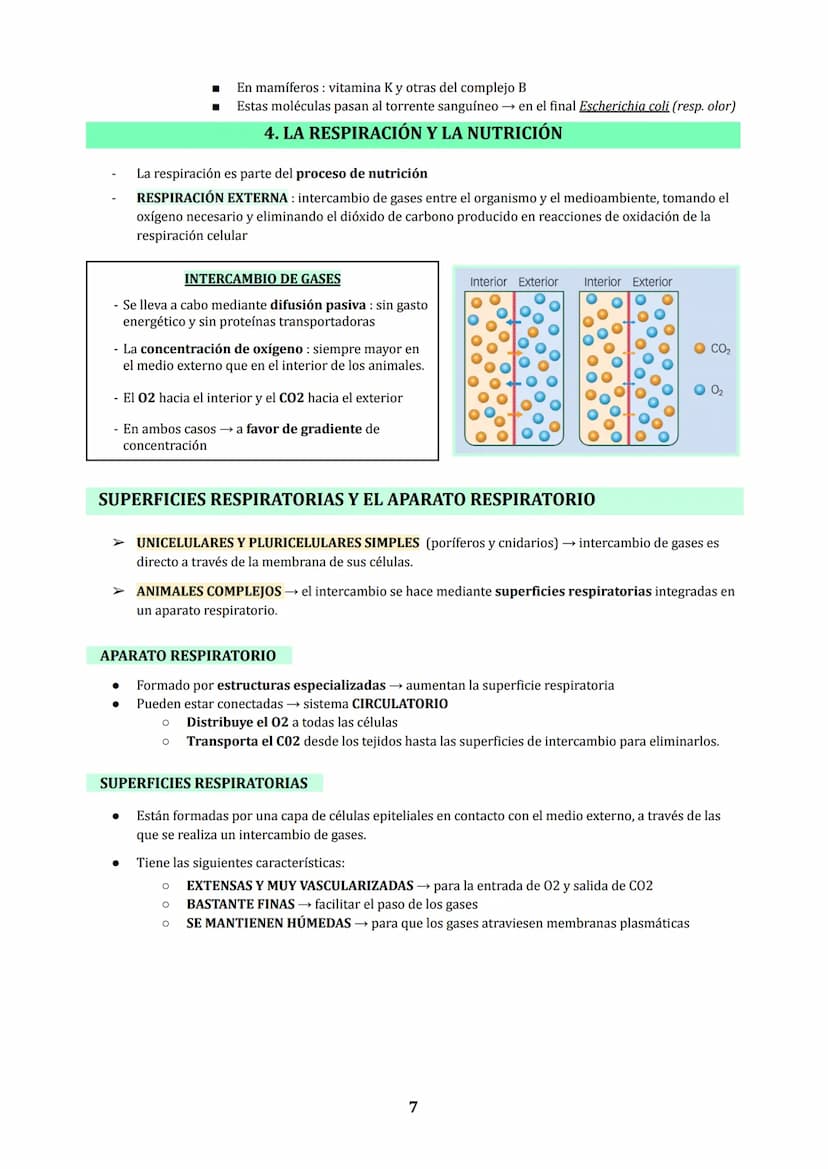 TEMA 3
NUTRICIÓN EN ANIMALES : DIGESTIÓN Y RESPIRACIÓN
1. LOS PROCESOS DIGESTIVOS
NUTRICIÓN HETEROTROFA: conjunto de procesos relacionados c