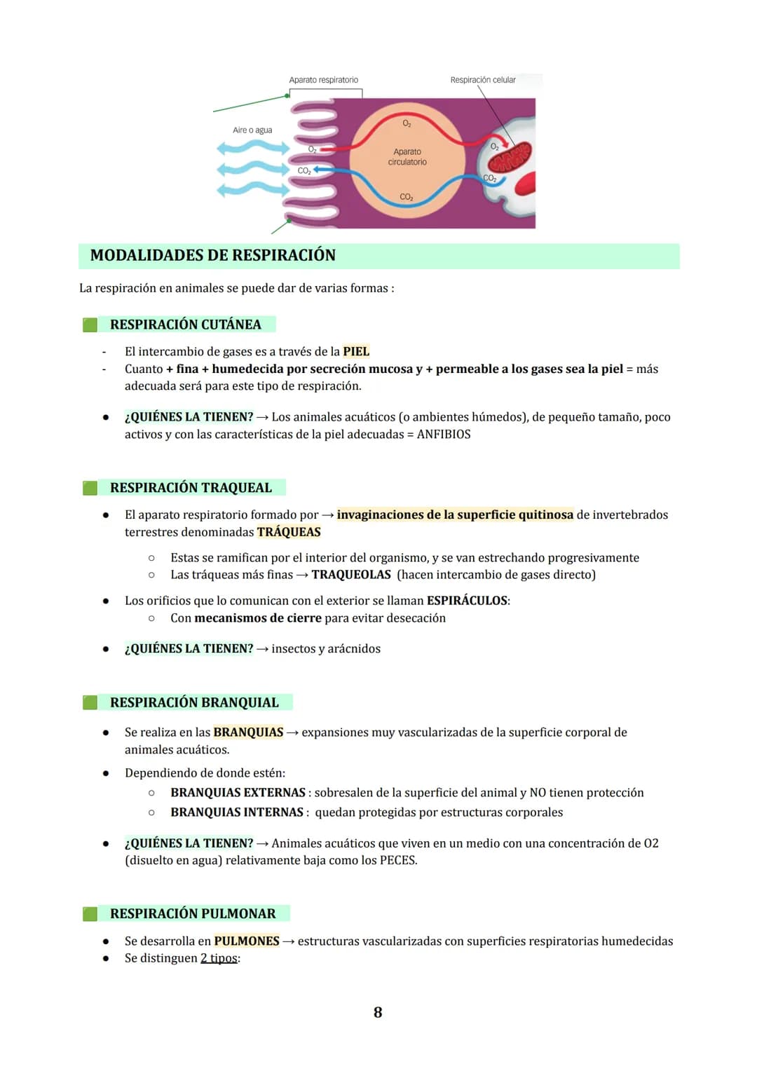 TEMA 3
NUTRICIÓN EN ANIMALES : DIGESTIÓN Y RESPIRACIÓN
1. LOS PROCESOS DIGESTIVOS
NUTRICIÓN HETEROTROFA: conjunto de procesos relacionados c