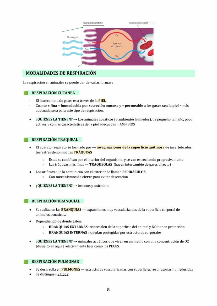 TEMA 3
NUTRICIÓN EN ANIMALES : DIGESTIÓN Y RESPIRACIÓN
1. LOS PROCESOS DIGESTIVOS
NUTRICIÓN HETEROTROFA: conjunto de procesos relacionados c