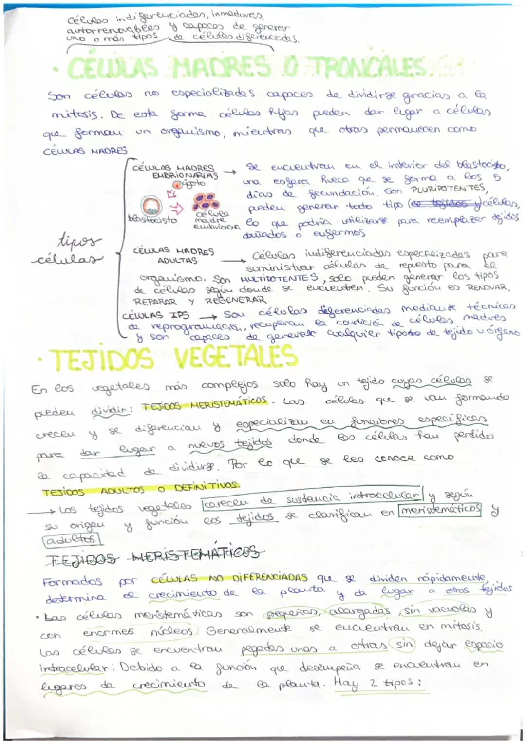 مسte
• Organismo eucariota unicelular → Todos sus actividades sociales sou
realizadas por una sola célula
C
→ El desarrollo
de uu
organismo 