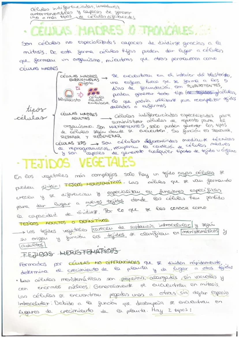 مسte
• Organismo eucariota unicelular → Todos sus actividades sociales sou
realizadas por una sola célula
C
→ El desarrollo
de uu
organismo 