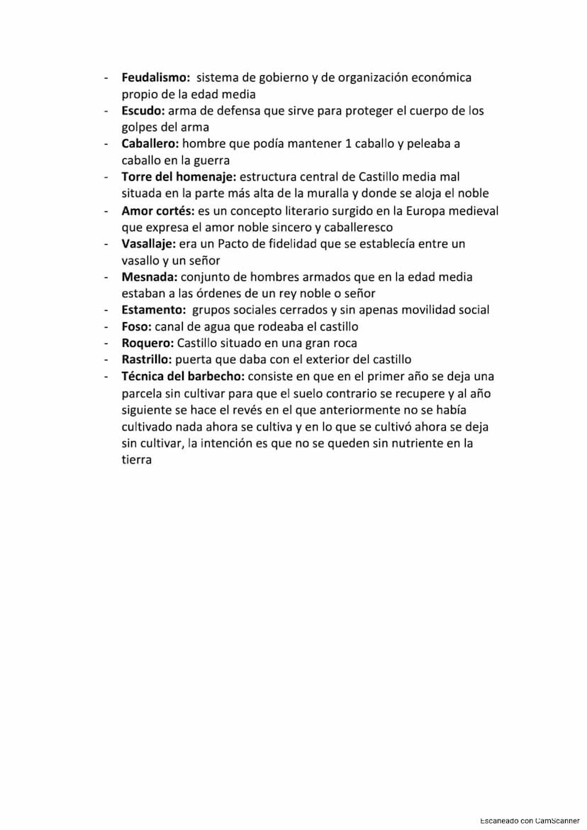 1
A partir de los siglos X y XI se formó en Europa occidental un sistema
político, económico y social llamado el feudalismo
El vasallaje era