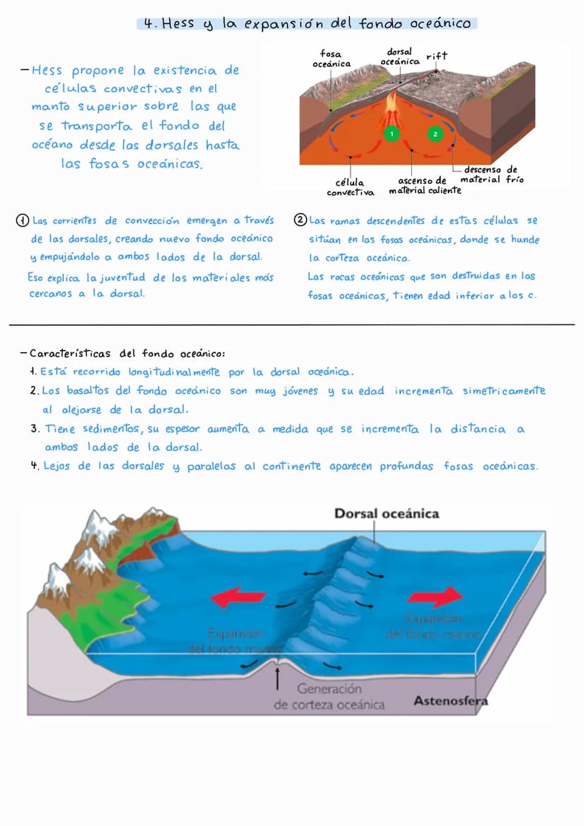 Litosfera:
- Rígida y fría.
- Espesor irregular.
- Corteza + Manto litosférico
- Litosfera oceánica:
• Más densa.
• Está bajo los océanos.
-