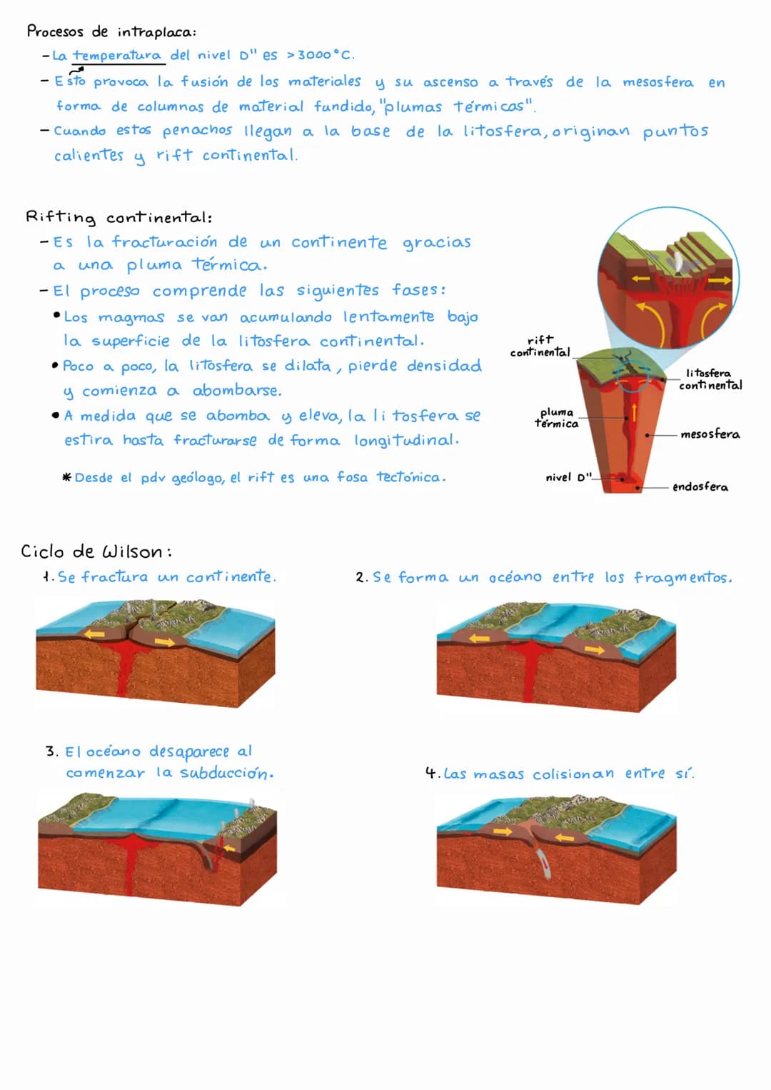 Litosfera:
- Rígida y fría.
- Espesor irregular.
- Corteza + Manto litosférico
- Litosfera oceánica:
• Más densa.
• Está bajo los océanos.
-