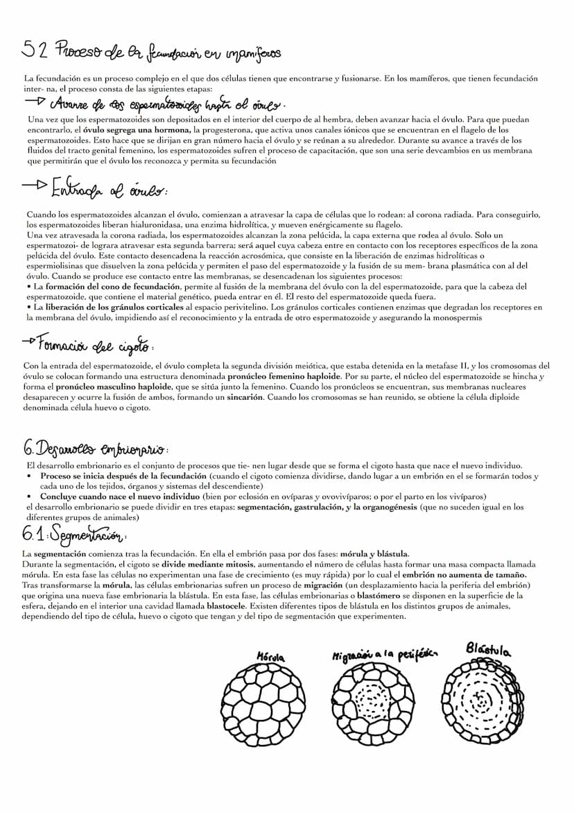 1: Asi se
Mediante la reproducción, los animales generan descendientes (nuevos individuos semejantes a ellos). La reproducción no es impresc
