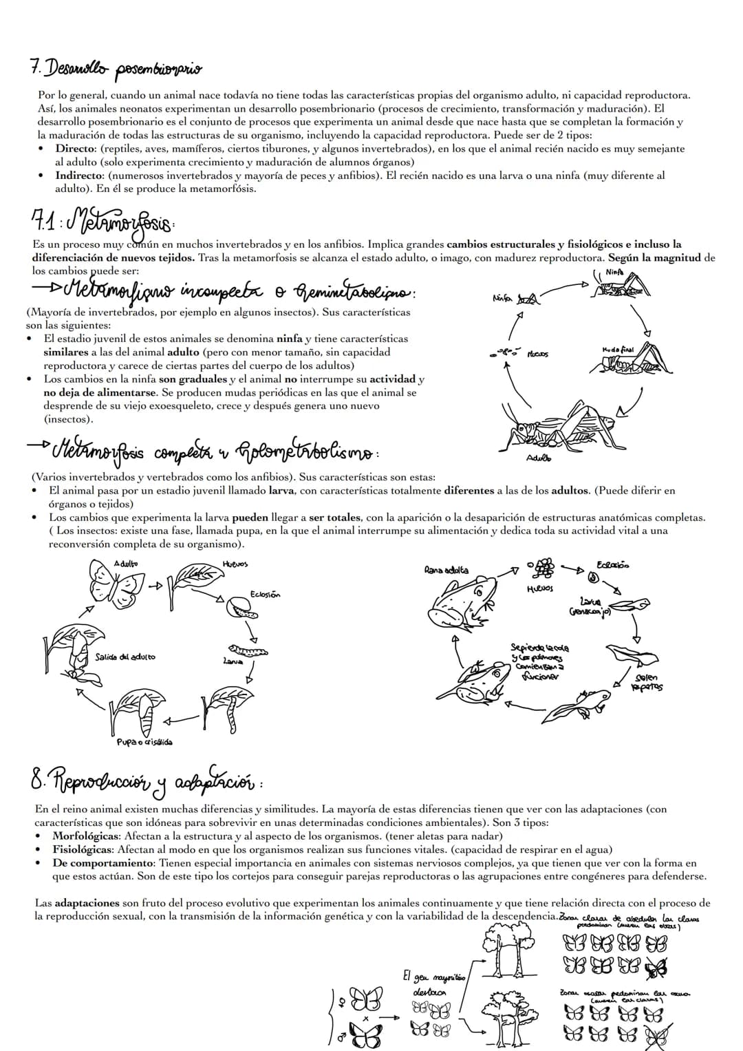 1: Asi se
Mediante la reproducción, los animales generan descendientes (nuevos individuos semejantes a ellos). La reproducción no es impresc