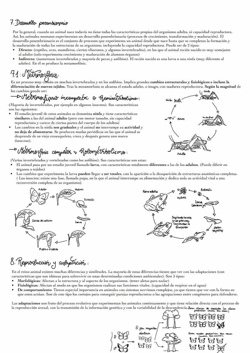 1: Asi se
Mediante la reproducción, los animales generan descendientes (nuevos individuos semejantes a ellos). La reproducción no es impresc
