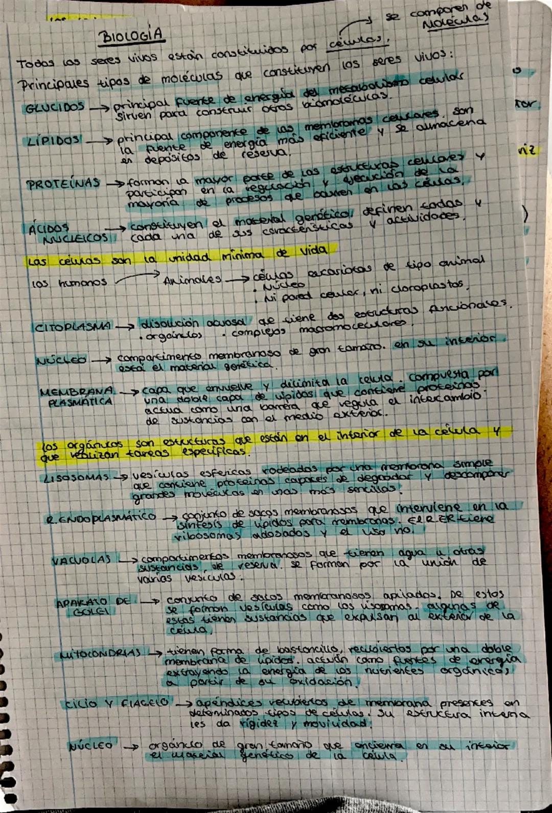 12
Explicamos
Galería
La química de la vida
Todos los seres vivos están constituidos por células, y estas, a su
vez, se componen de molécula