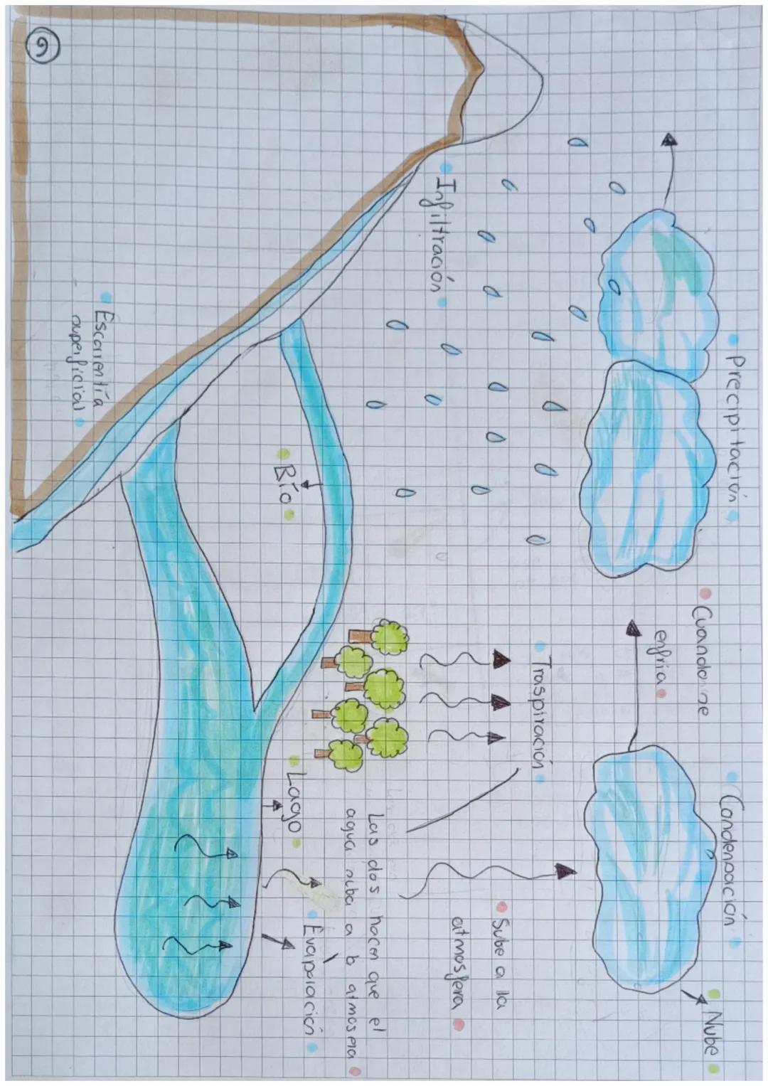 # La Gobosfera

TEMA

ooo el agy to۰۰۰۰۰

El agua: Propiedades 7

*   3 estacios

    @flota en el agua liquida.

*   Incolara en estado gun