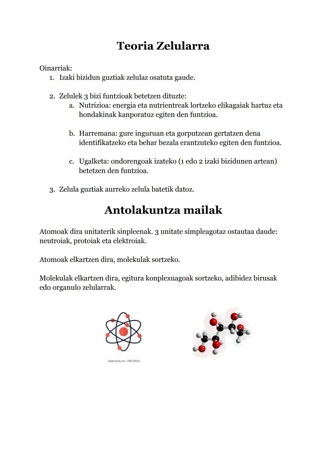 # Teoria Zelularra

Oinarriak:

1.  Izaki bizidun guztiak zelulaz osatuta gaude.

2.  Zelulek 3 bizi funtzioak betetzen dituzte:
    a. Nutr