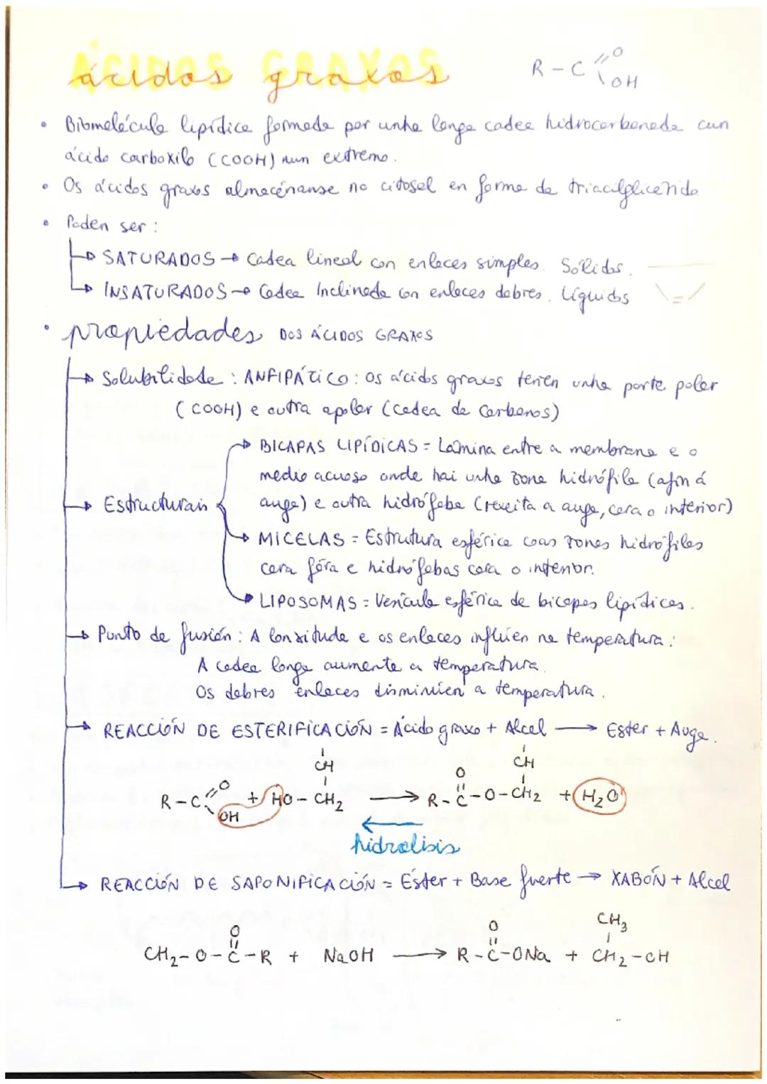Lípidos
LIPIDOS] Biomolécule orgánice fermade per C, H e O,
propiedades
Diversas estruturas e funcions.
Insolubres en
аиде
• Solubres en dis