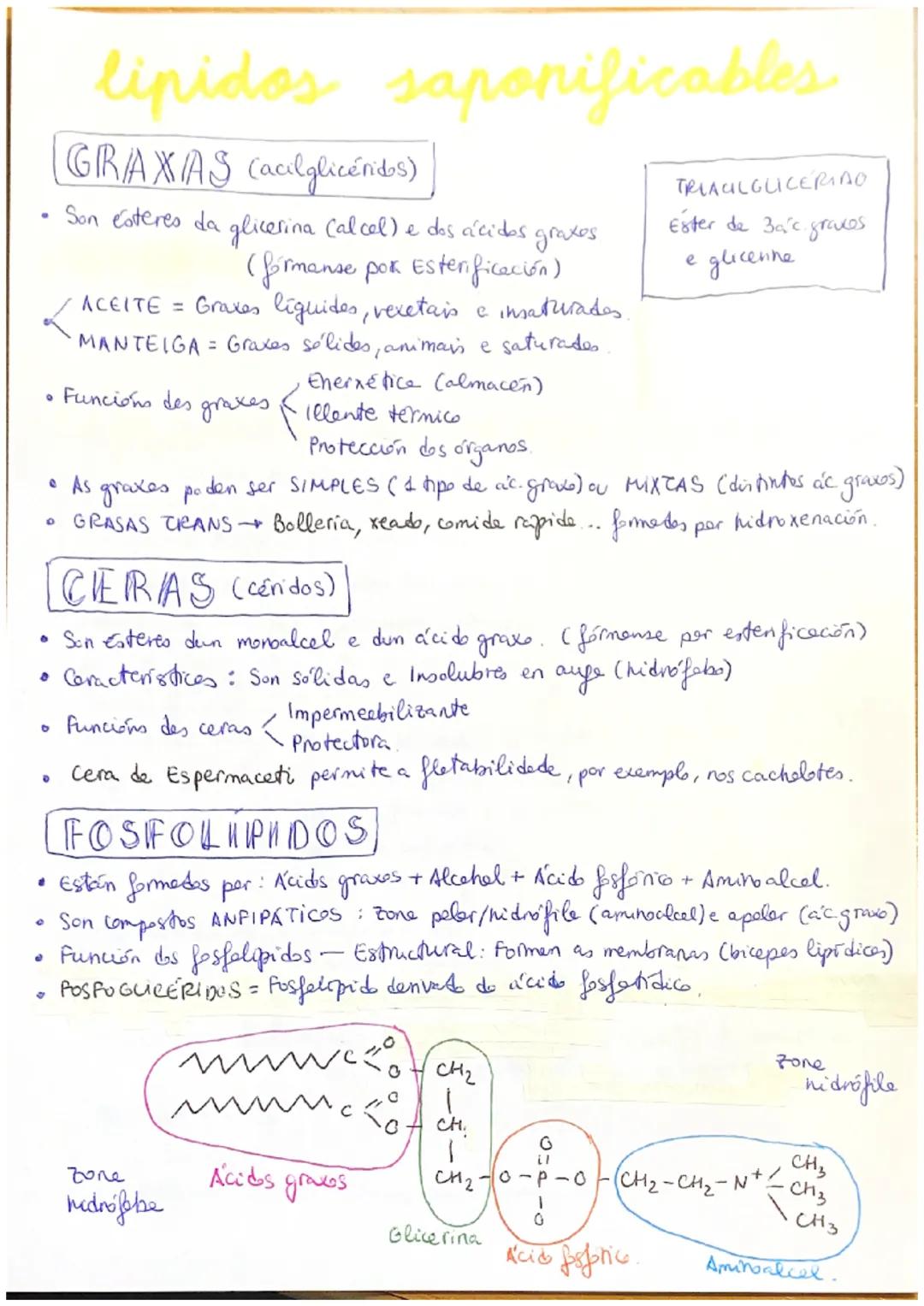 Lípidos
LIPIDOS] Biomolécule orgánice fermade per C, H e O,
propiedades
Diversas estruturas e funcions.
Insolubres en
аиде
• Solubres en dis