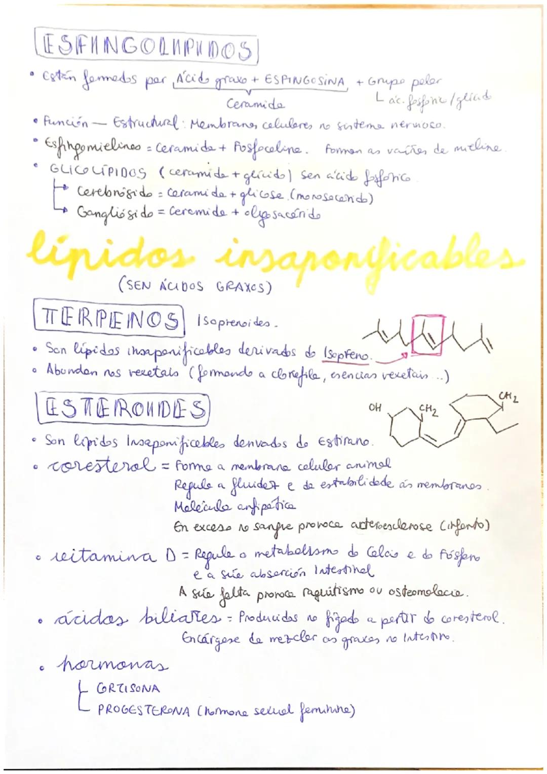 Lípidos
LIPIDOS] Biomolécule orgánice fermade per C, H e O,
propiedades
Diversas estruturas e funcions.
Insolubres en
аиде
• Solubres en dis