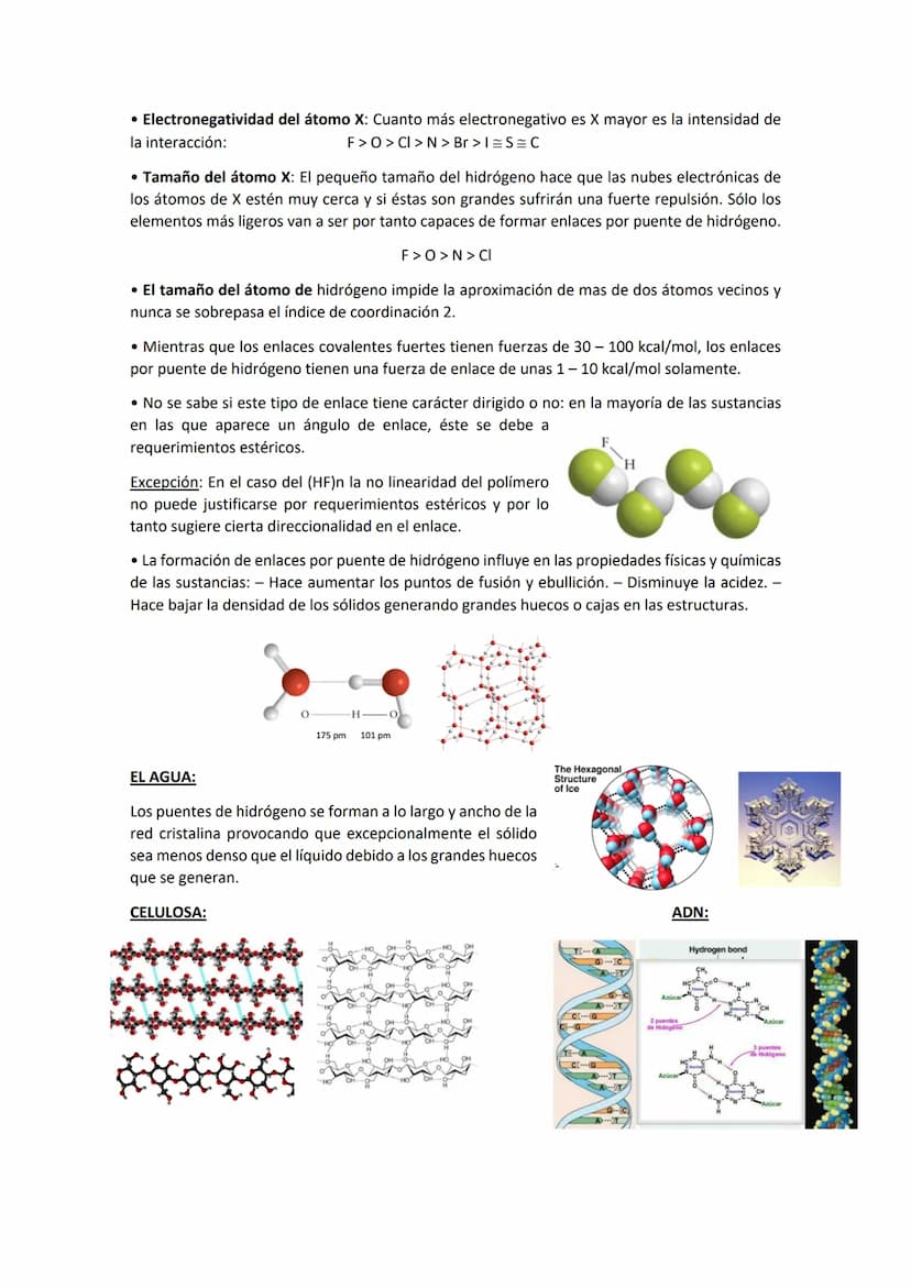 TEMA 3. EL ENLACE EN FASES CONDENSADAS
Todas las sustancias pueden solidificarse en las condiciones de presión y temperatura
adecuadas.
GASE