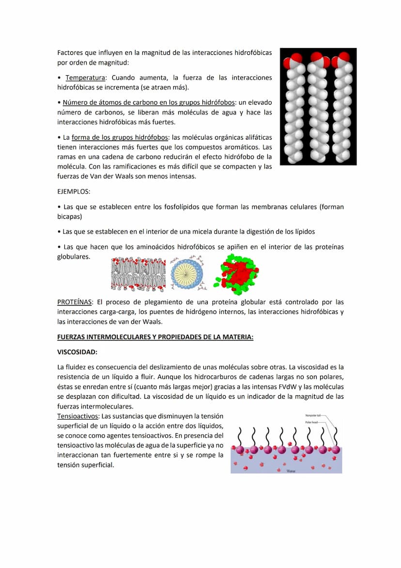 TEMA 3. EL ENLACE EN FASES CONDENSADAS
Todas las sustancias pueden solidificarse en las condiciones de presión y temperatura
adecuadas.
GASE