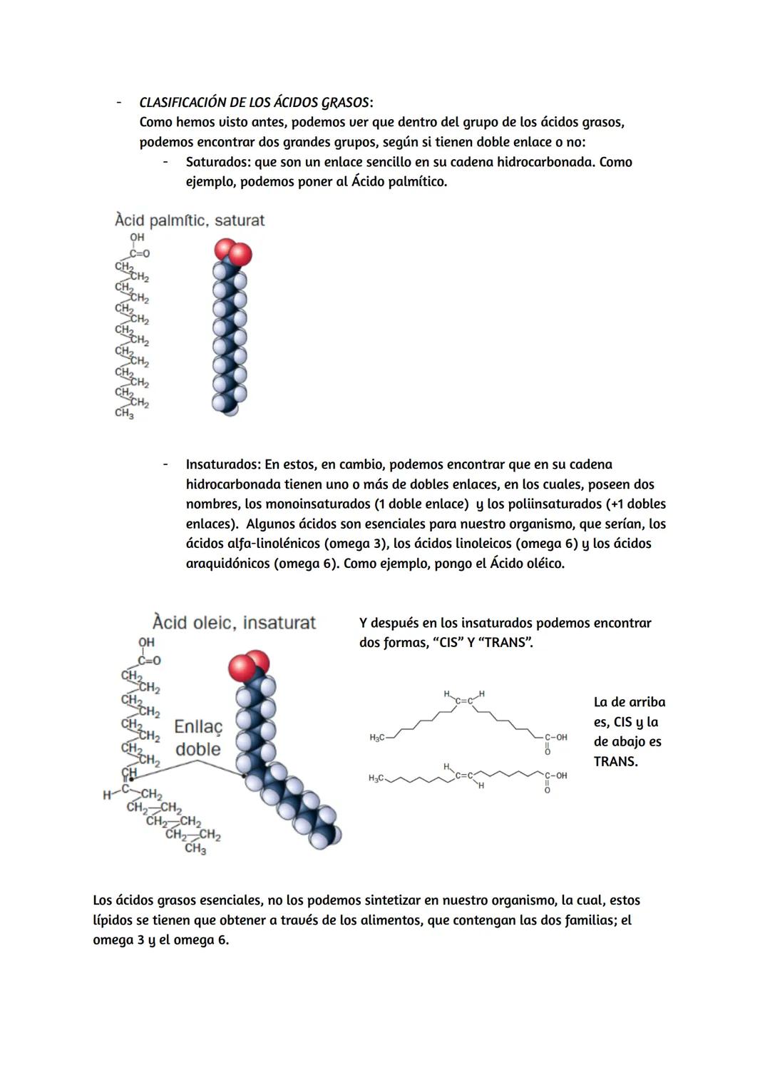 # Lípidos

## Características de los lípidos:

*   Propiedades de los lípidos:

Los lípidos son biomoléculas orgánicas, que están formadas p