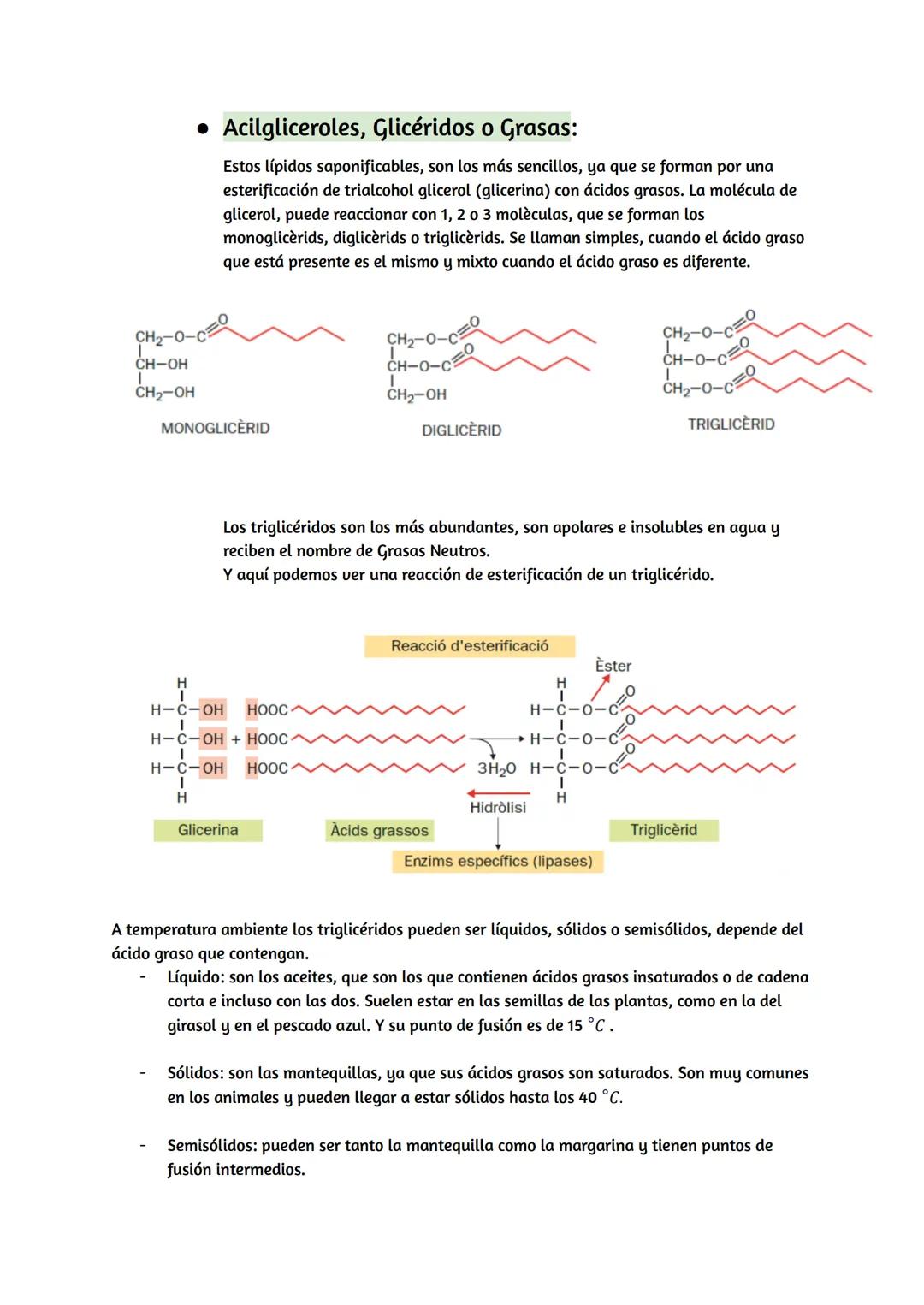 # Lípidos

## Características de los lípidos:

*   Propiedades de los lípidos:

Los lípidos son biomoléculas orgánicas, que están formadas p