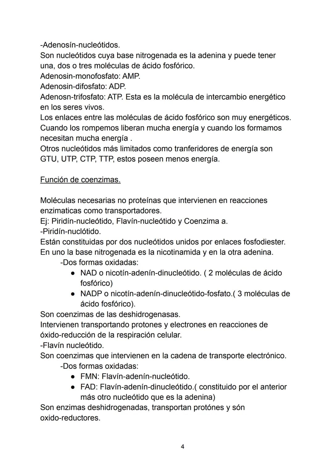 Ácidos nucleicos.
Indice.
-Ácidos nucleicos.
• Concepto.
-Nucleótidos.
• Formación del nucleósido.
• Formación del nucleótido.
• Enlace fosf