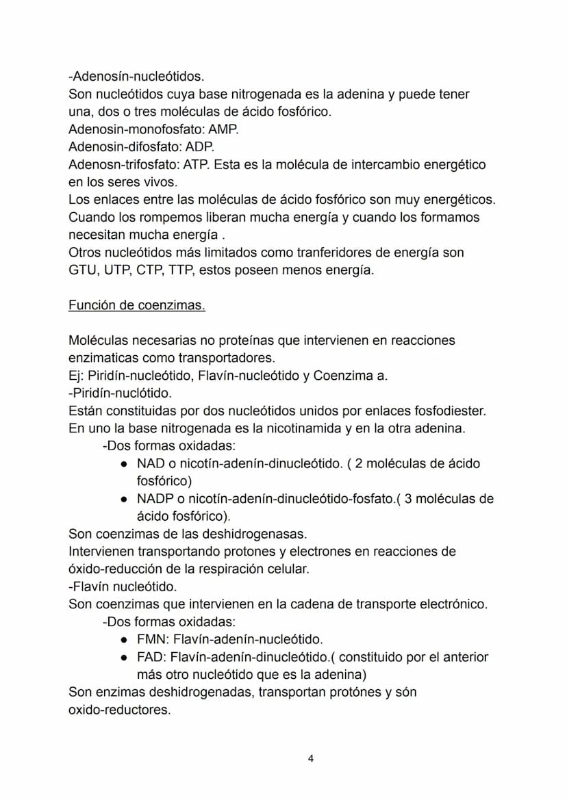 Ácidos nucleicos.
Indice.
-Ácidos nucleicos.
• Concepto.
-Nucleótidos.
• Formación del nucleósido.
• Formación del nucleótido.
• Enlace fosf