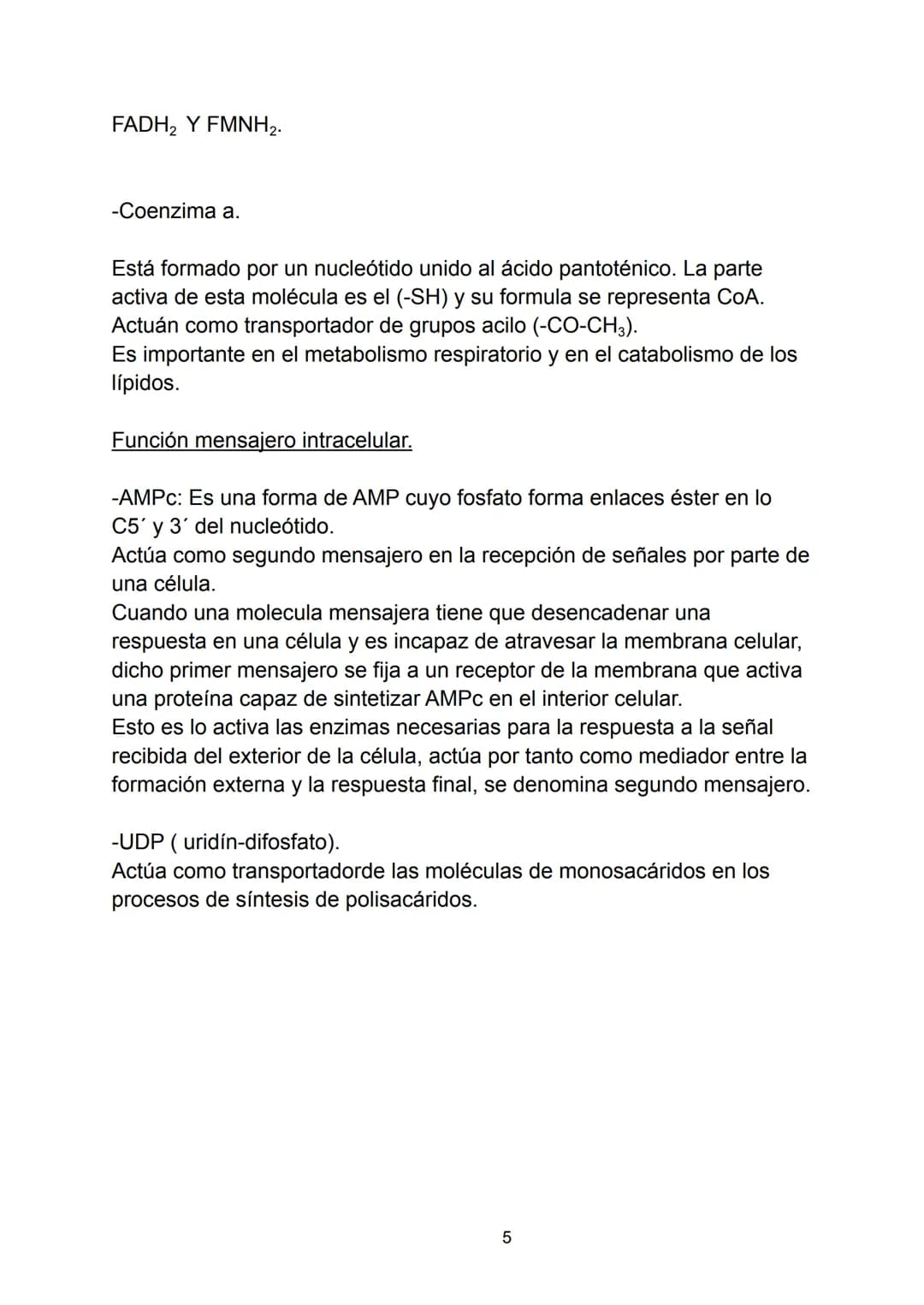 Ácidos nucleicos.
Indice.
-Ácidos nucleicos.
• Concepto.
-Nucleótidos.
• Formación del nucleósido.
• Formación del nucleótido.
• Enlace fosf