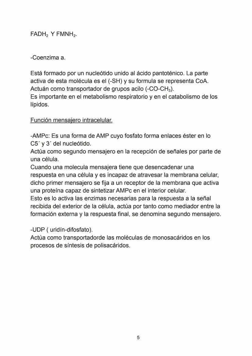 Ácidos nucleicos.
Indice.
-Ácidos nucleicos.
• Concepto.
-Nucleótidos.
• Formación del nucleósido.
• Formación del nucleótido.
• Enlace fosf