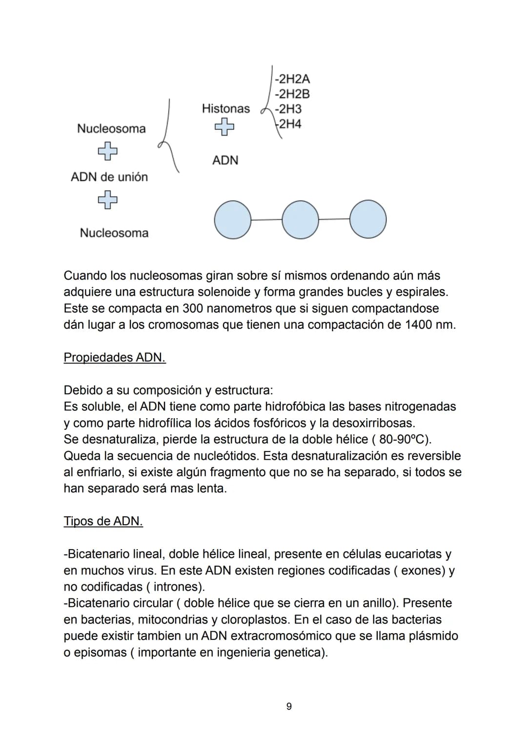 Ácidos nucleicos.
Indice.
-Ácidos nucleicos.
• Concepto.
-Nucleótidos.
• Formación del nucleósido.
• Formación del nucleótido.
• Enlace fosf