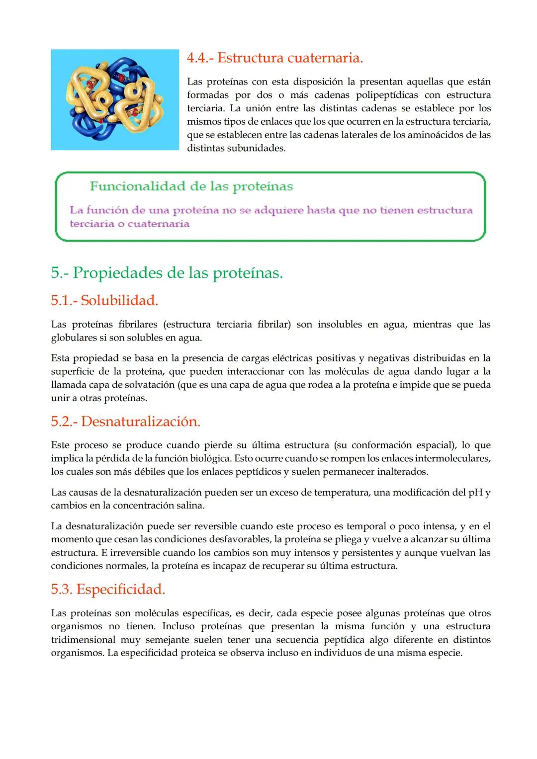 TEMA 9. Proteínas.

1.- Características generales de las proteínas.

2.- Los aminoácidos.

3.- El enlace peptídico.

4.- Estructura de las p