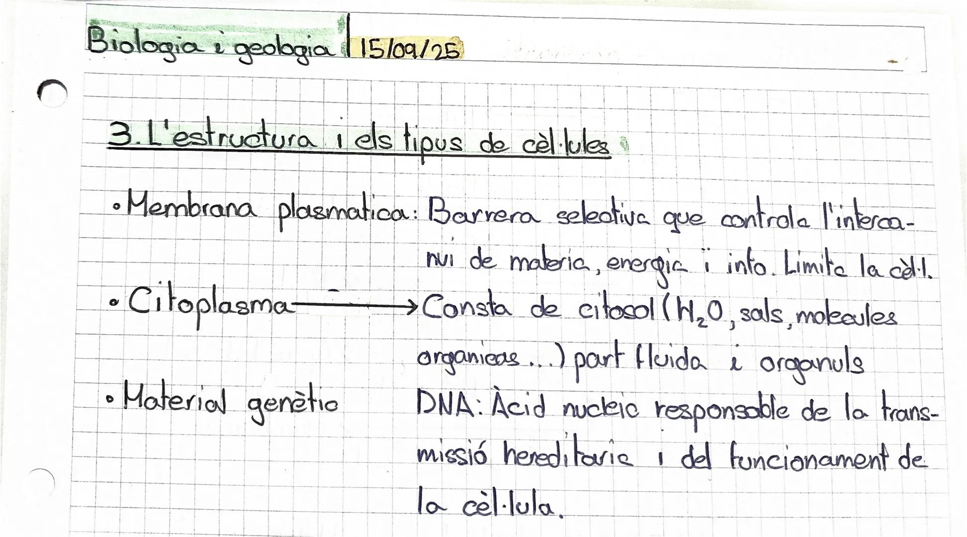 BIOLOGIA I GEOLOGIA

1.5 El nucli de les cèl.lules eucariotes:

Lámina
nuclear

Cromatina,
territorios

Ribosoma

170972025

Envuelta nuclea