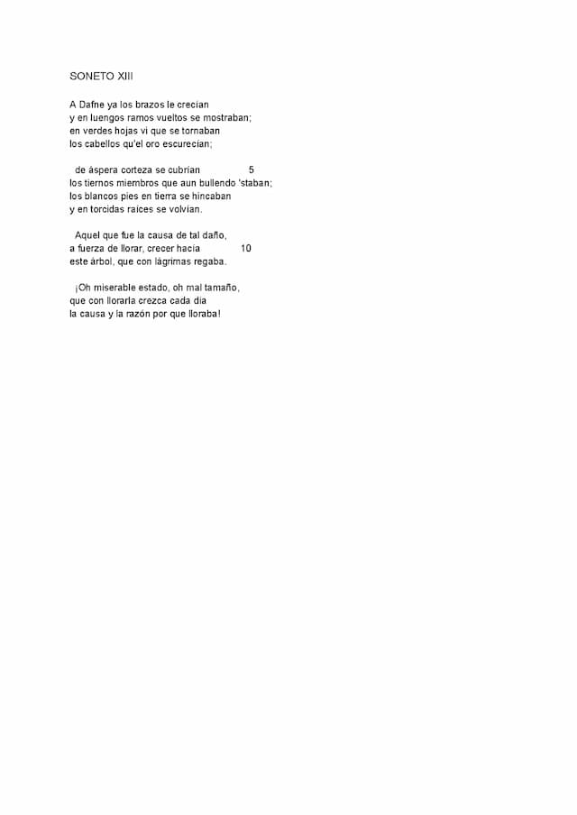 Know Comentario de texto del Soneto XIII de Garcilaso. thumbnail