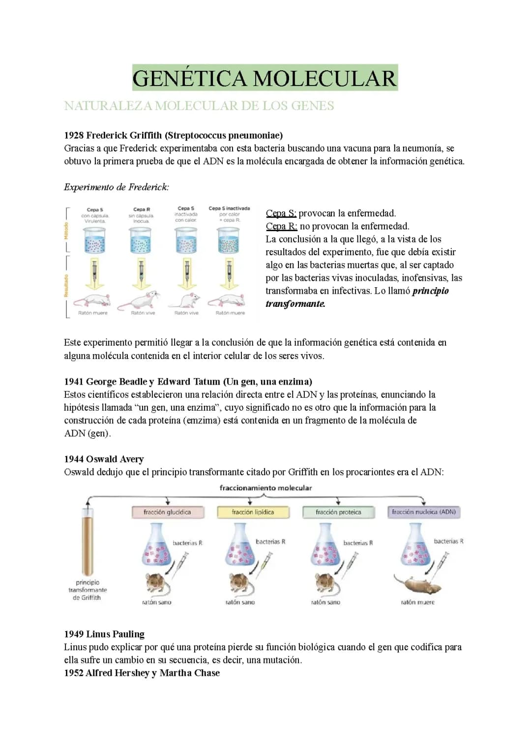 Genética Molecular