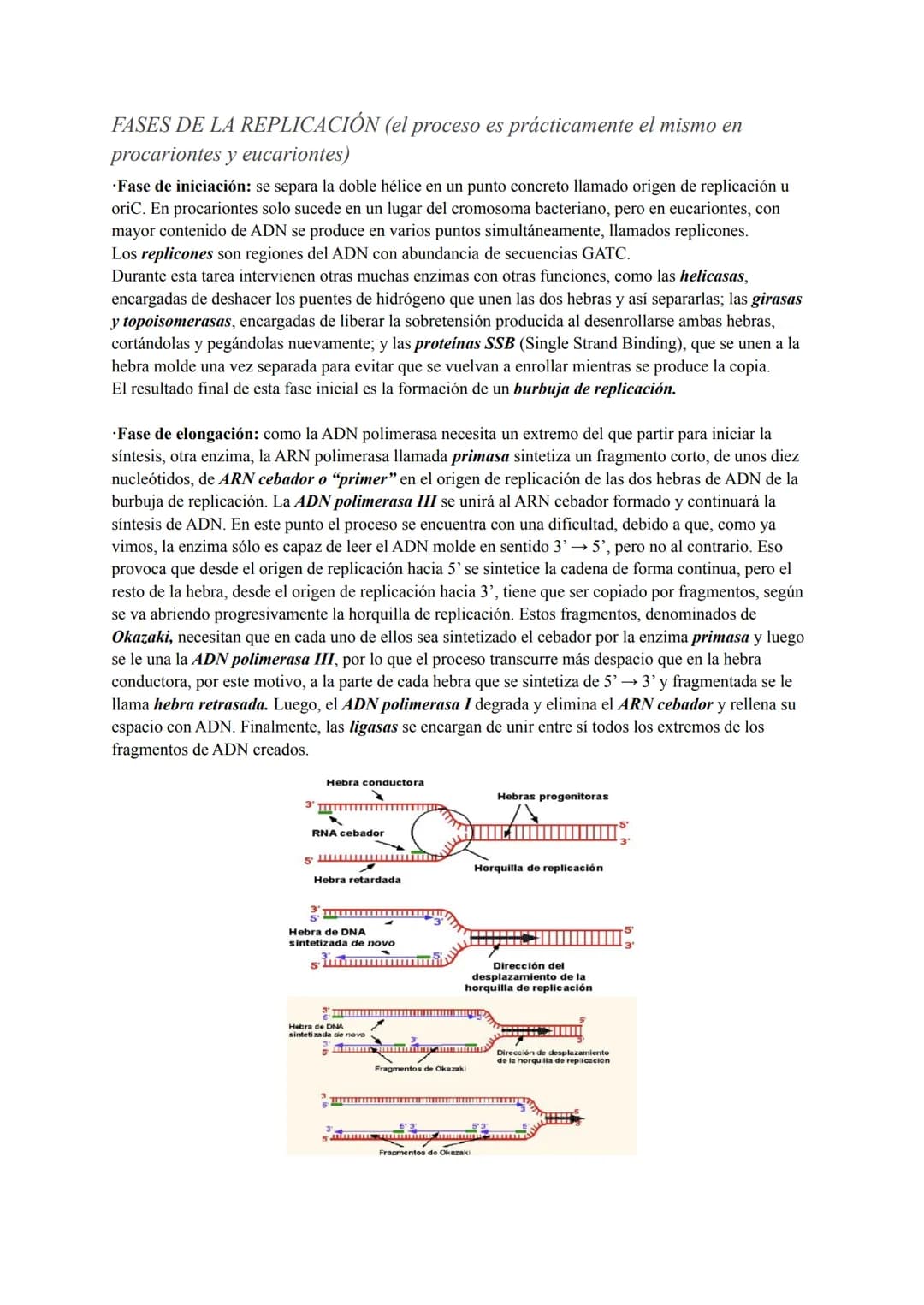 NATURALEZA MOLECULAR DE LOS GENES
GENÉTICA MOLECULAR
1928 Frederick Griffith (Streptococcus pneumoniae)
Gracias a que Frederick experimentab