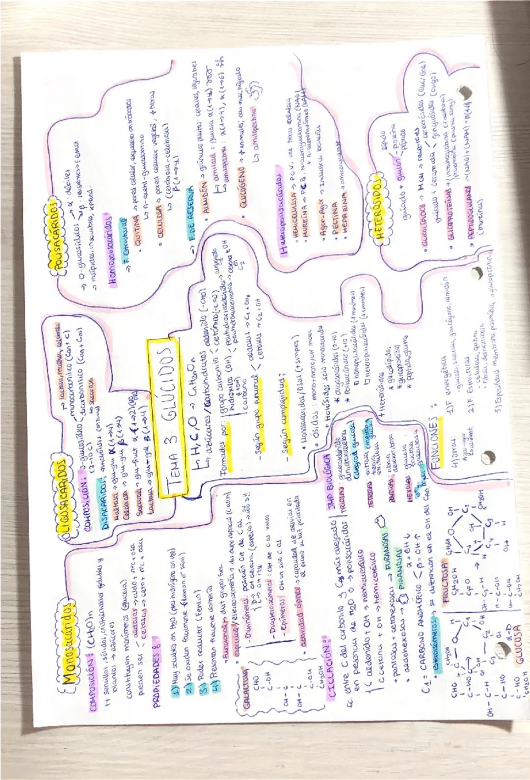 (Monosacáridos
COMPOSICIÓN (CH₂O)n
++ sencillos, sólidos, cristaltabier Schubles y
blancos → azúcares
constituyen monómeros (glucosa)
pueden