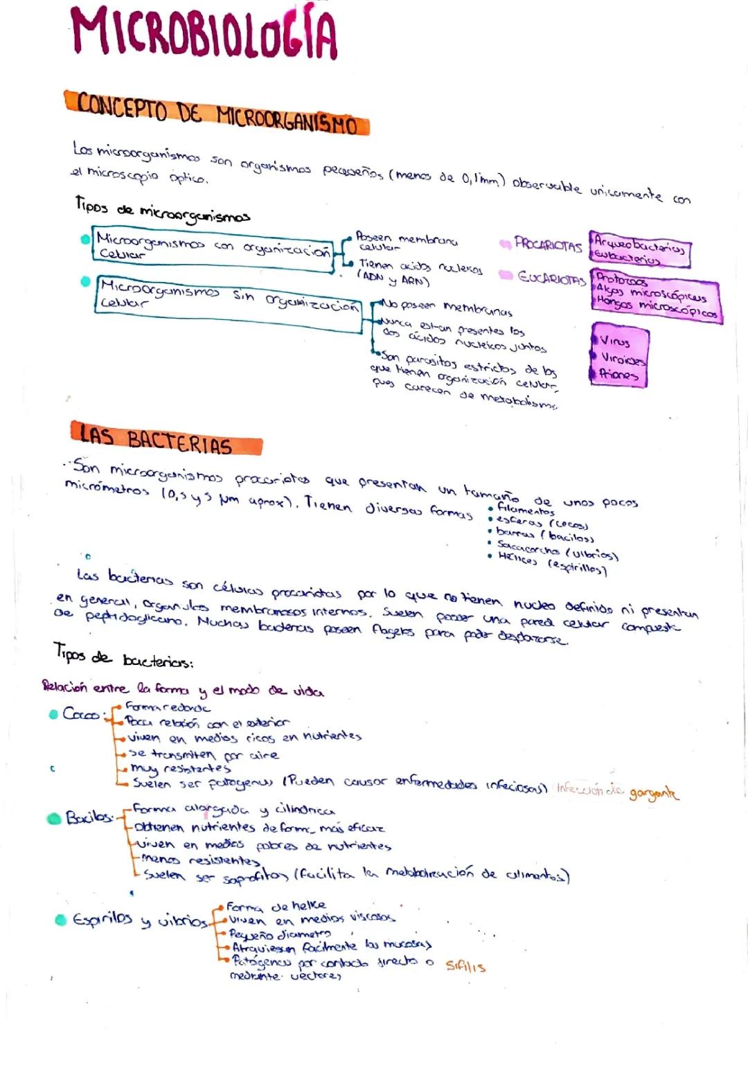 Todo sobre Microorganismos: Tipos, Nombres, y Más