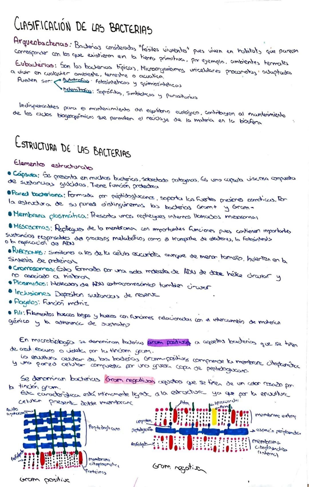 MICROBIOLOGIA
C
CONCEPTO DE MICROORGANISMO.
Los microorganismos son organismos pequeños (menos de 0, 1'mm) observable unicamente con
al micr