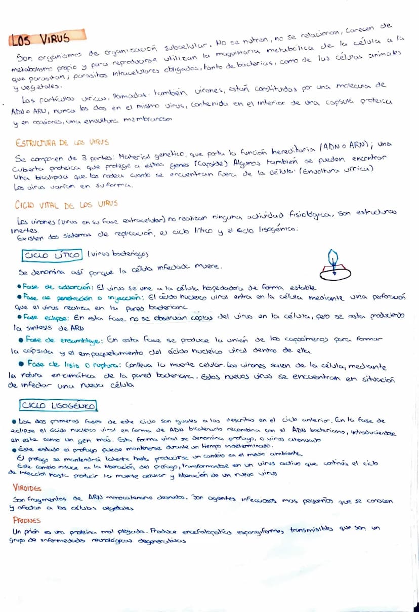 MICROBIOLOGIA
C
CONCEPTO DE MICROORGANISMO.
Los microorganismos son organismos pequeños (menos de 0, 1'mm) observable unicamente con
al micr