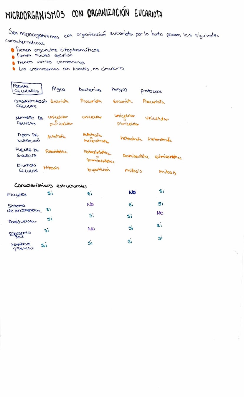 MICROBIOLOGIA
C
CONCEPTO DE MICROORGANISMO.
Los microorganismos son organismos pequeños (menos de 0, 1'mm) observable unicamente con
al micr
