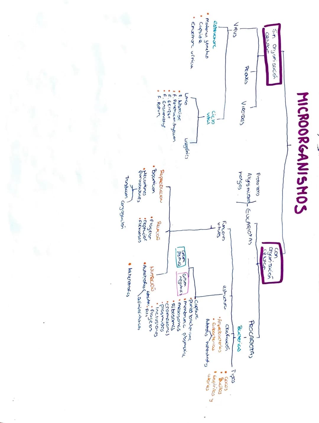 MICROBIOLOGIA
C
CONCEPTO DE MICROORGANISMO.
Los microorganismos son organismos pequeños (menos de 0, 1'mm) observable unicamente con
al micr