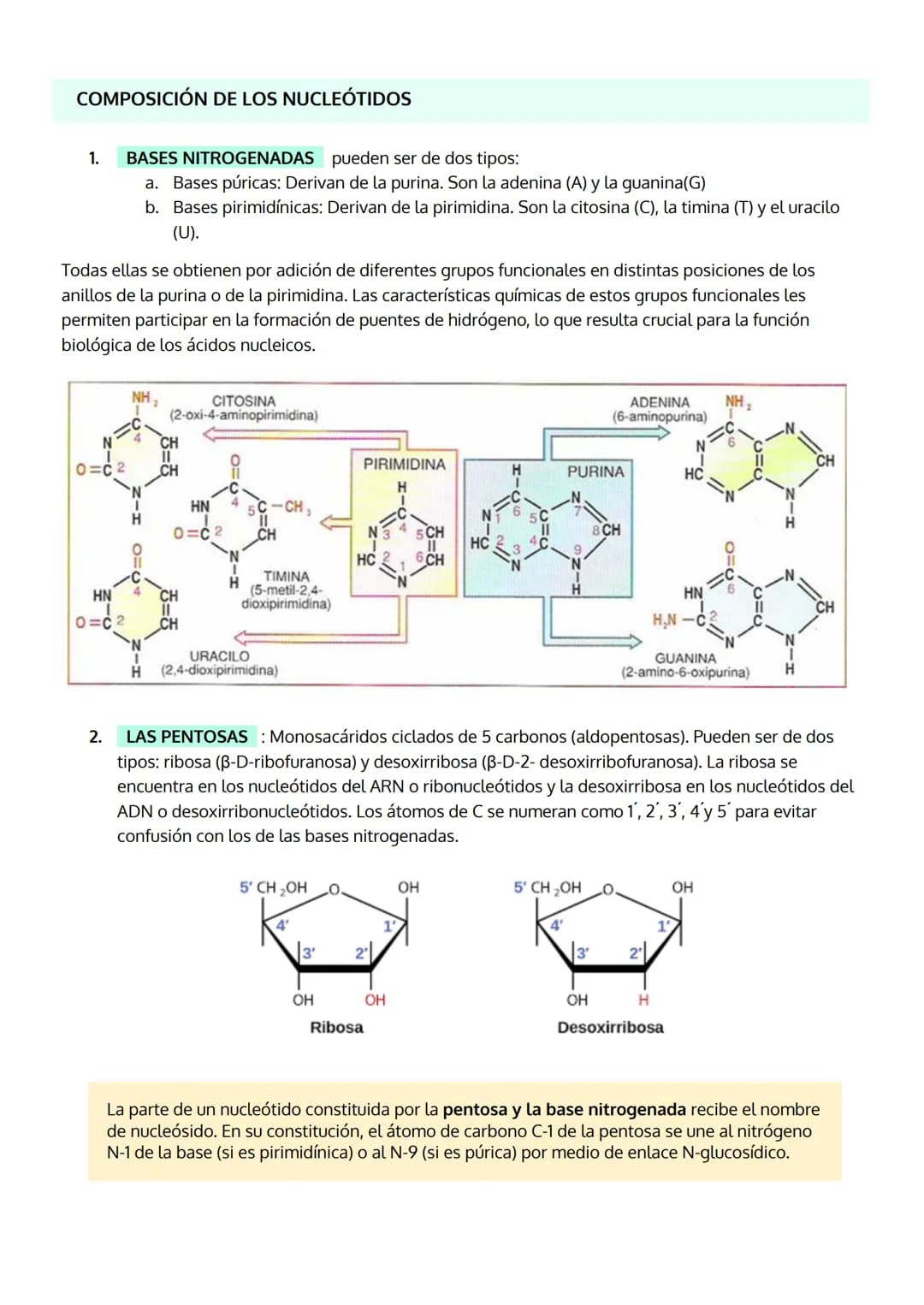 1. INTRODUCCIÓN. IMPORTANCIA DE LOS ÁCIDOS NUCLEICOS.
2. LOS NUCLEOTIDOS
TEMA 5
LOS ÁCIDOS NUCLEICOS
a. Composición
b. Importancia de los nu