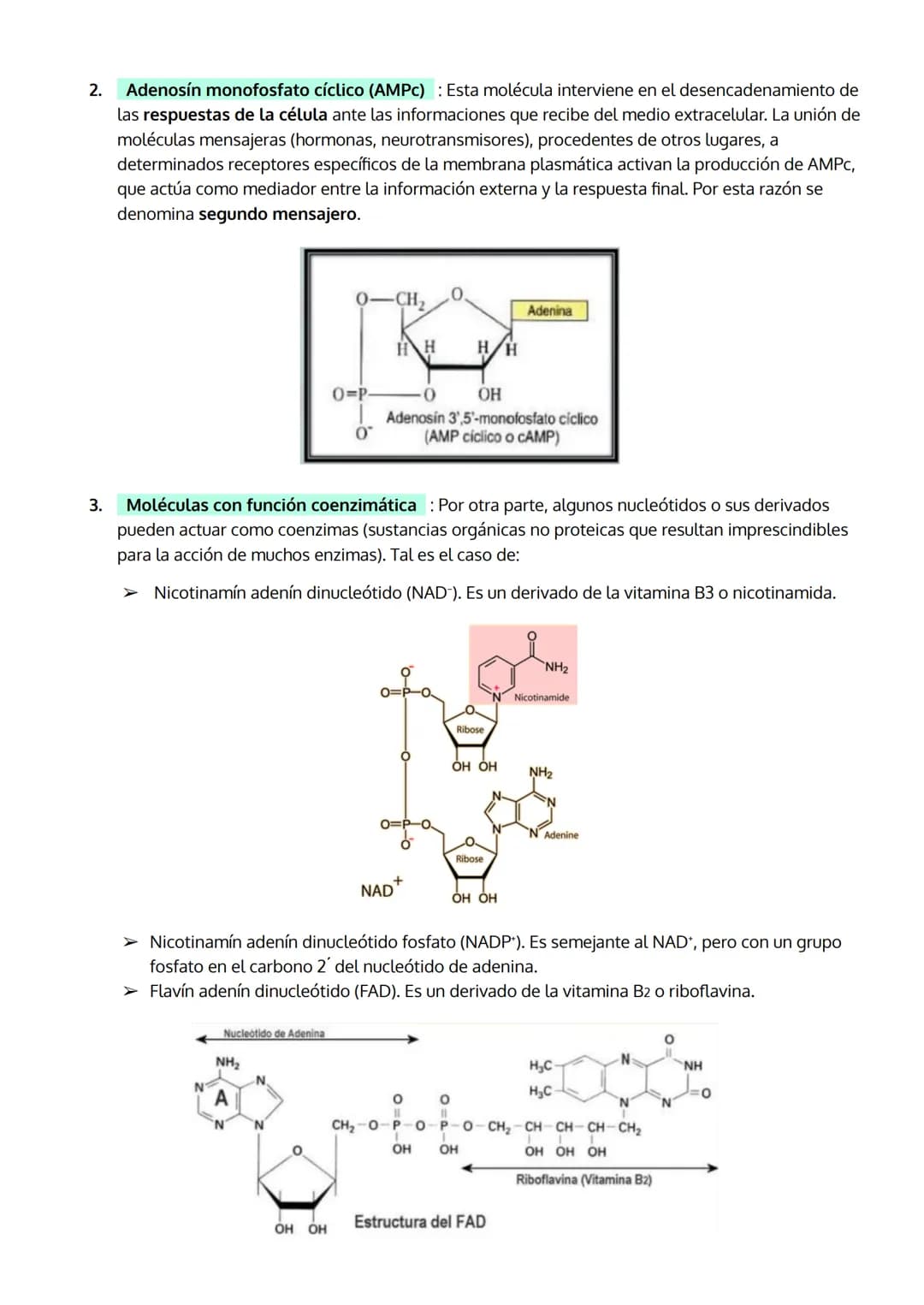 1. INTRODUCCIÓN. IMPORTANCIA DE LOS ÁCIDOS NUCLEICOS.
2. LOS NUCLEOTIDOS
TEMA 5
LOS ÁCIDOS NUCLEICOS
a. Composición
b. Importancia de los nu
